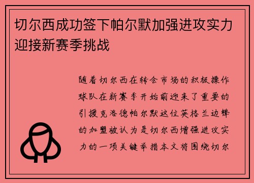 切尔西成功签下帕尔默加强进攻实力迎接新赛季挑战